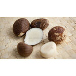 tagua1