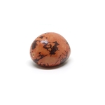 Tagua marbre orange