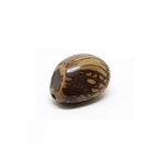 Tagua marbre marron