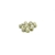 Graine perle blanc