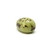 Tagua marbre vert clair
