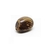 Tagua marbre marron