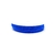 Bleu Roi2