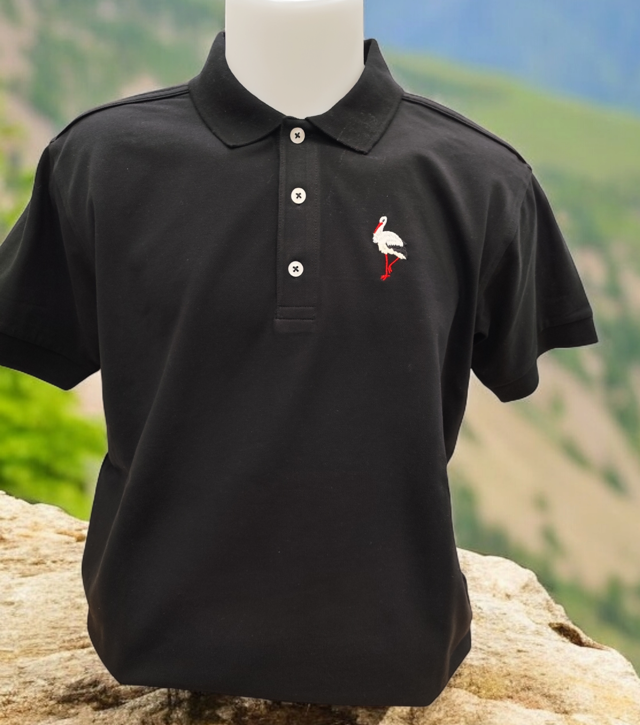 polo cigogne