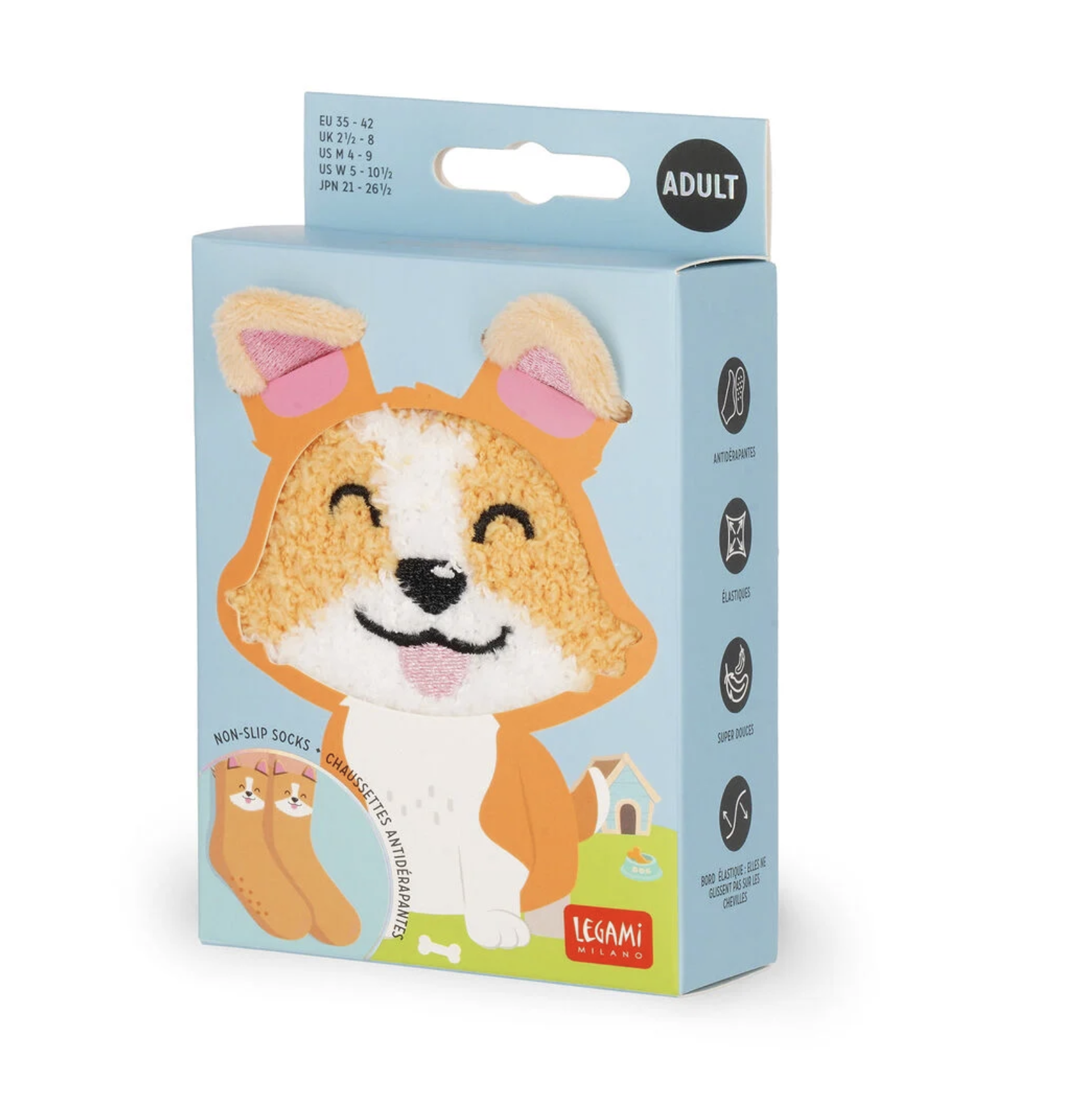 CORGI ADULTE