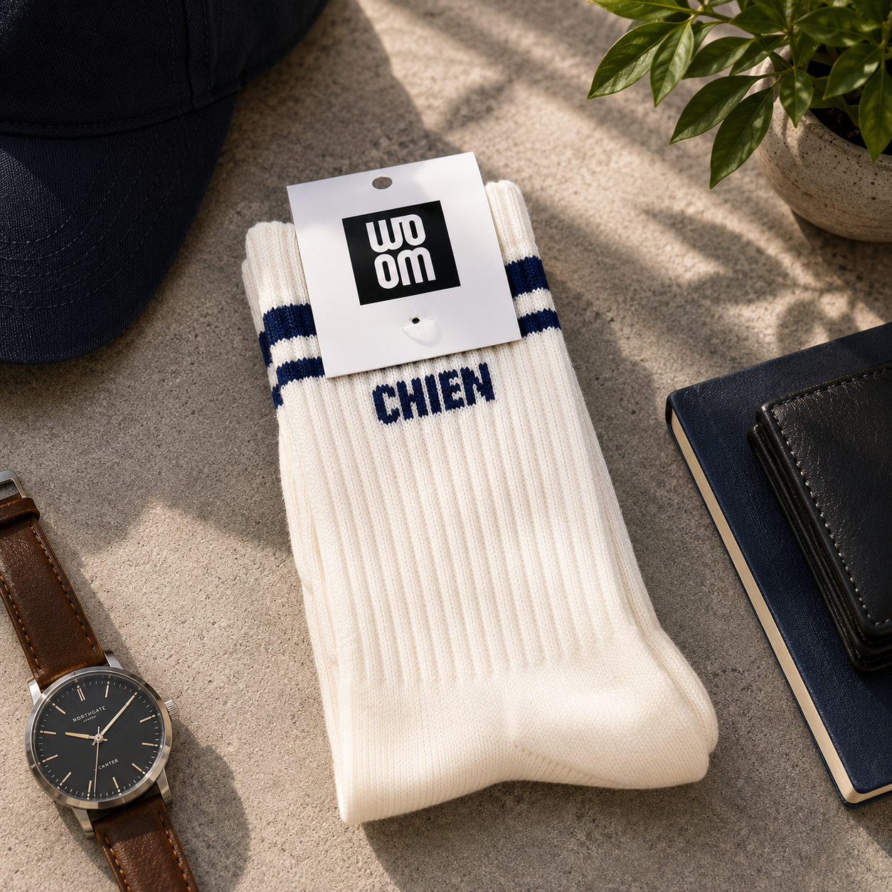 CHIEN