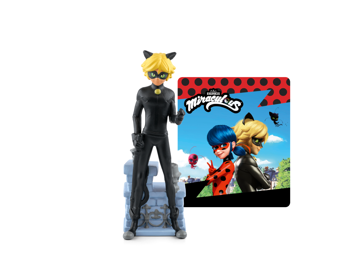 chat-noir-01