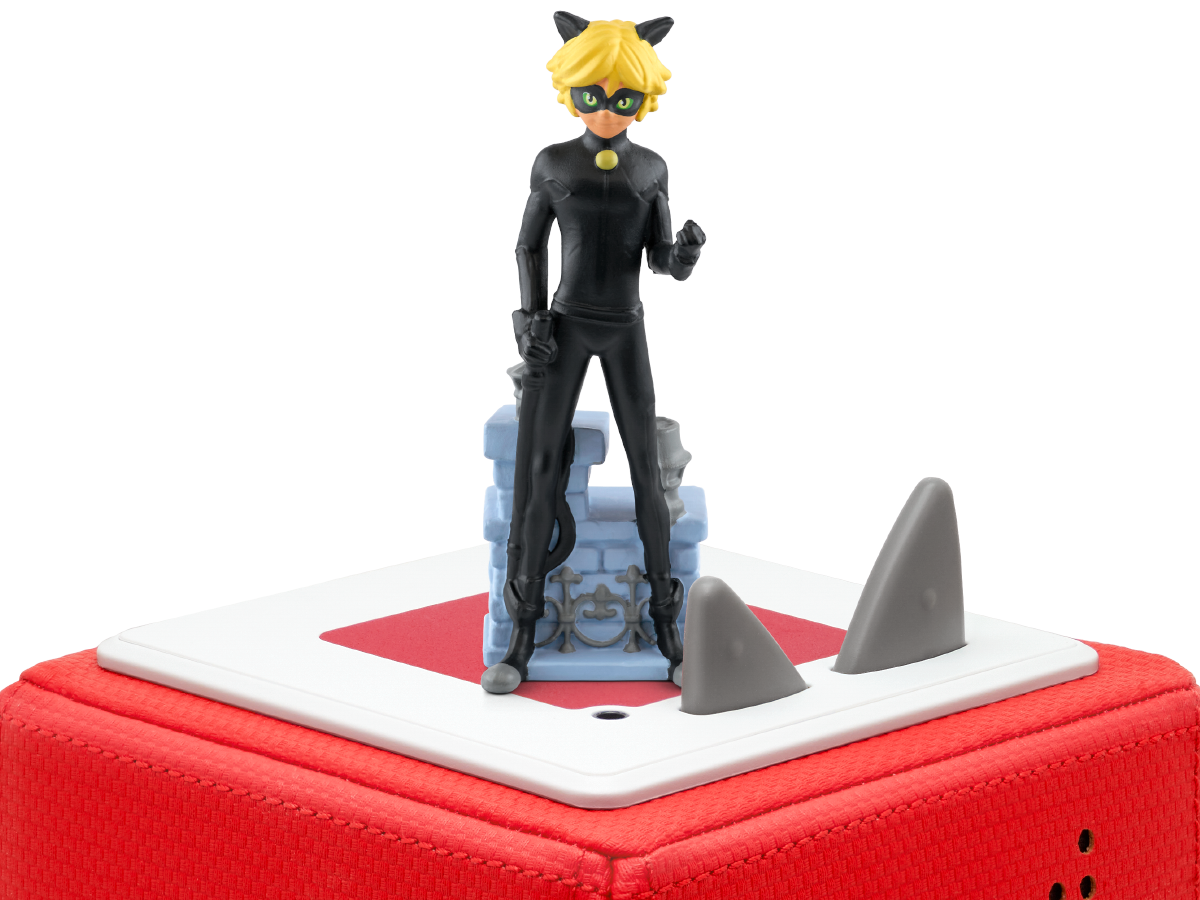 chat-noir-04