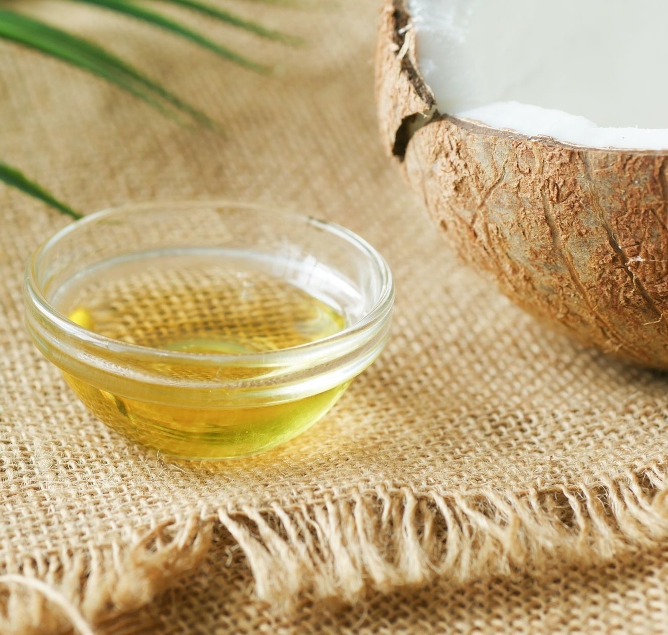 un gros plan d huile de coco dans un bol en verre sur de la toile de jute entoure de coque de coco et de feuilles