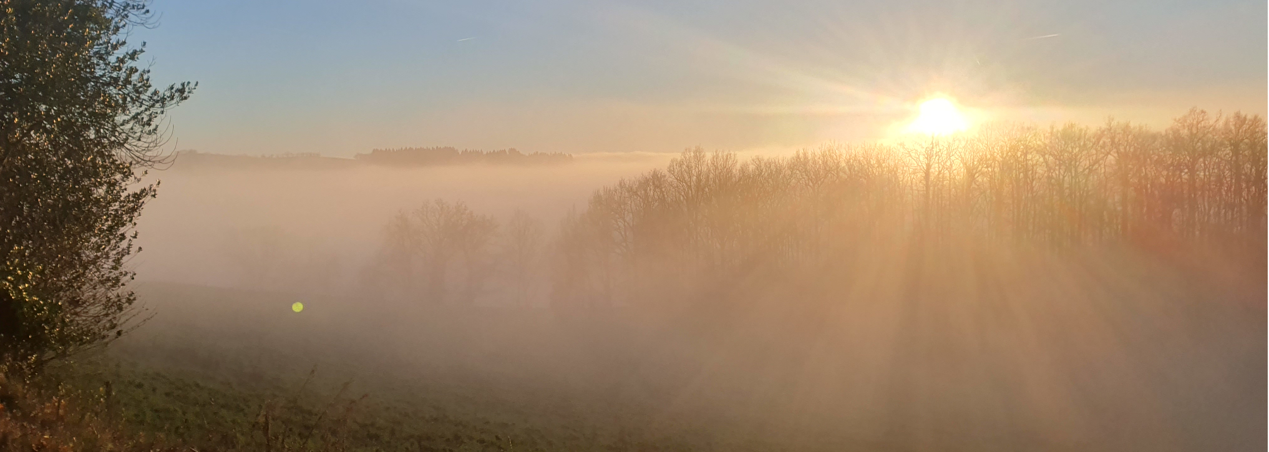 entete site paysage