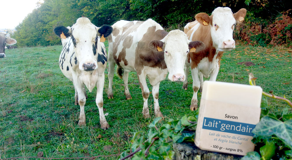 savon lait vache