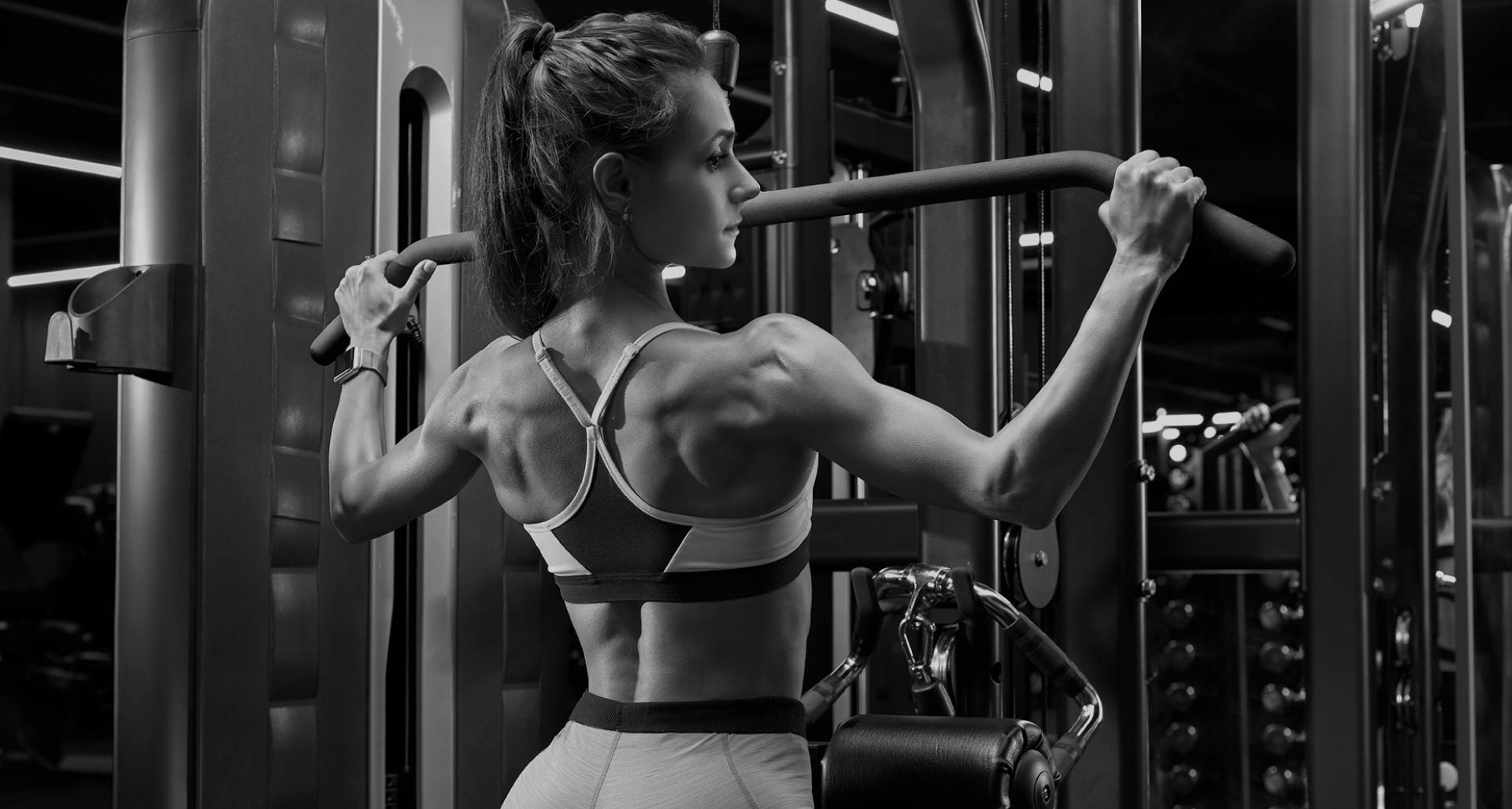 lpnutrition perf