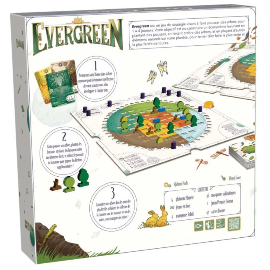 evergreen-2-zoom