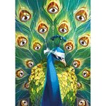 DIXIT-PUZZLE_VISUAL_Point-of-view_LD