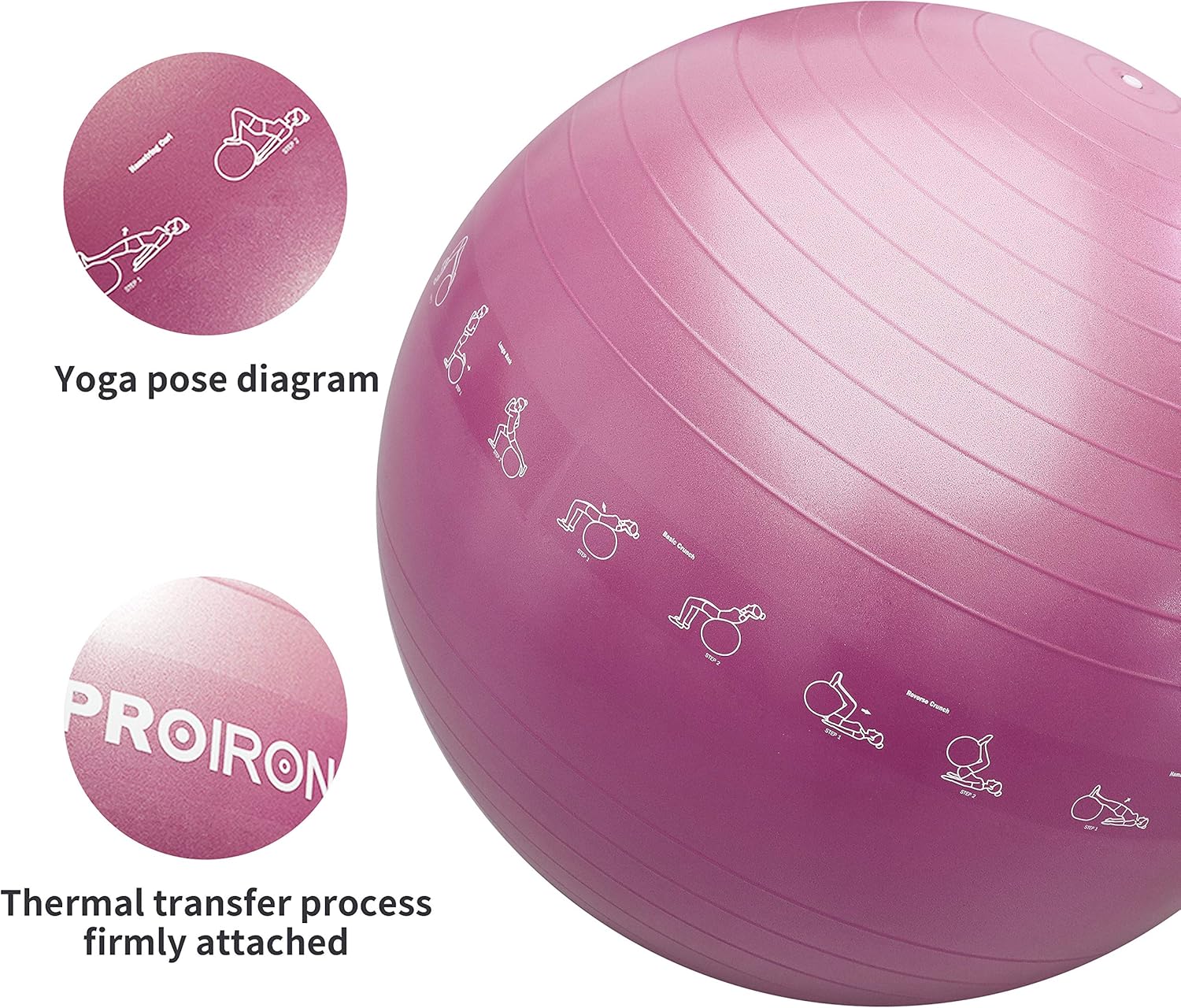 91lTutGexoL._AC_SL1500_