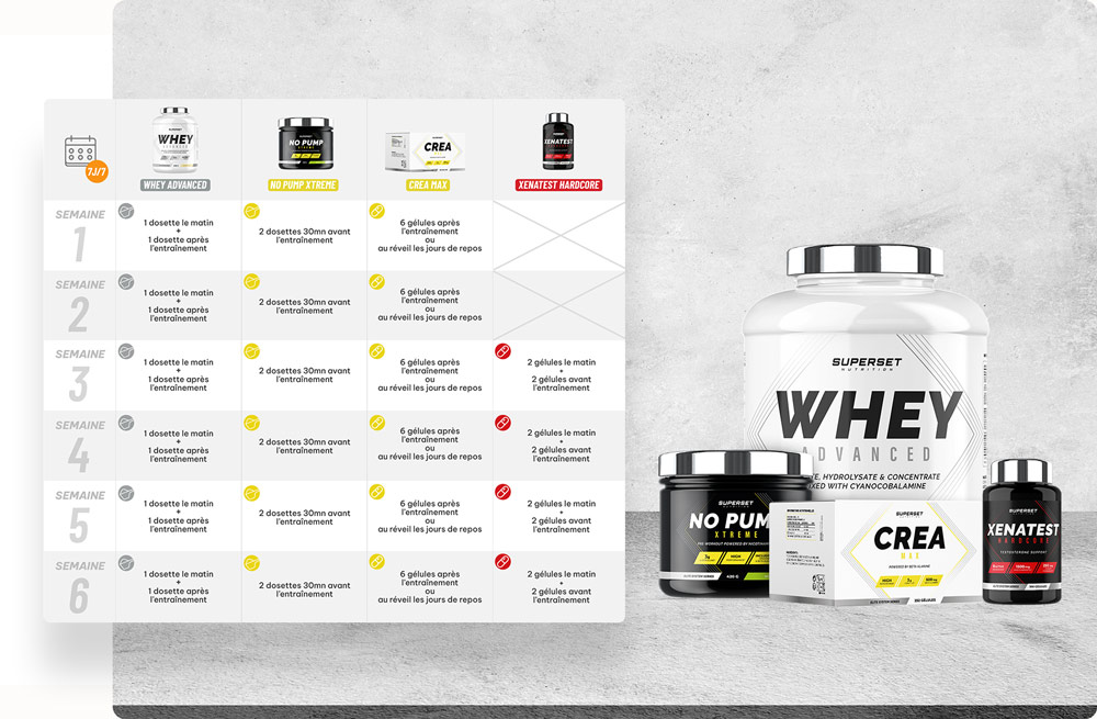 Prise-de-Muscle-Expert-plan-alimentation