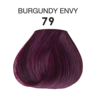 79 Burgundy Envy 02
