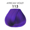 113 African Violet 01
