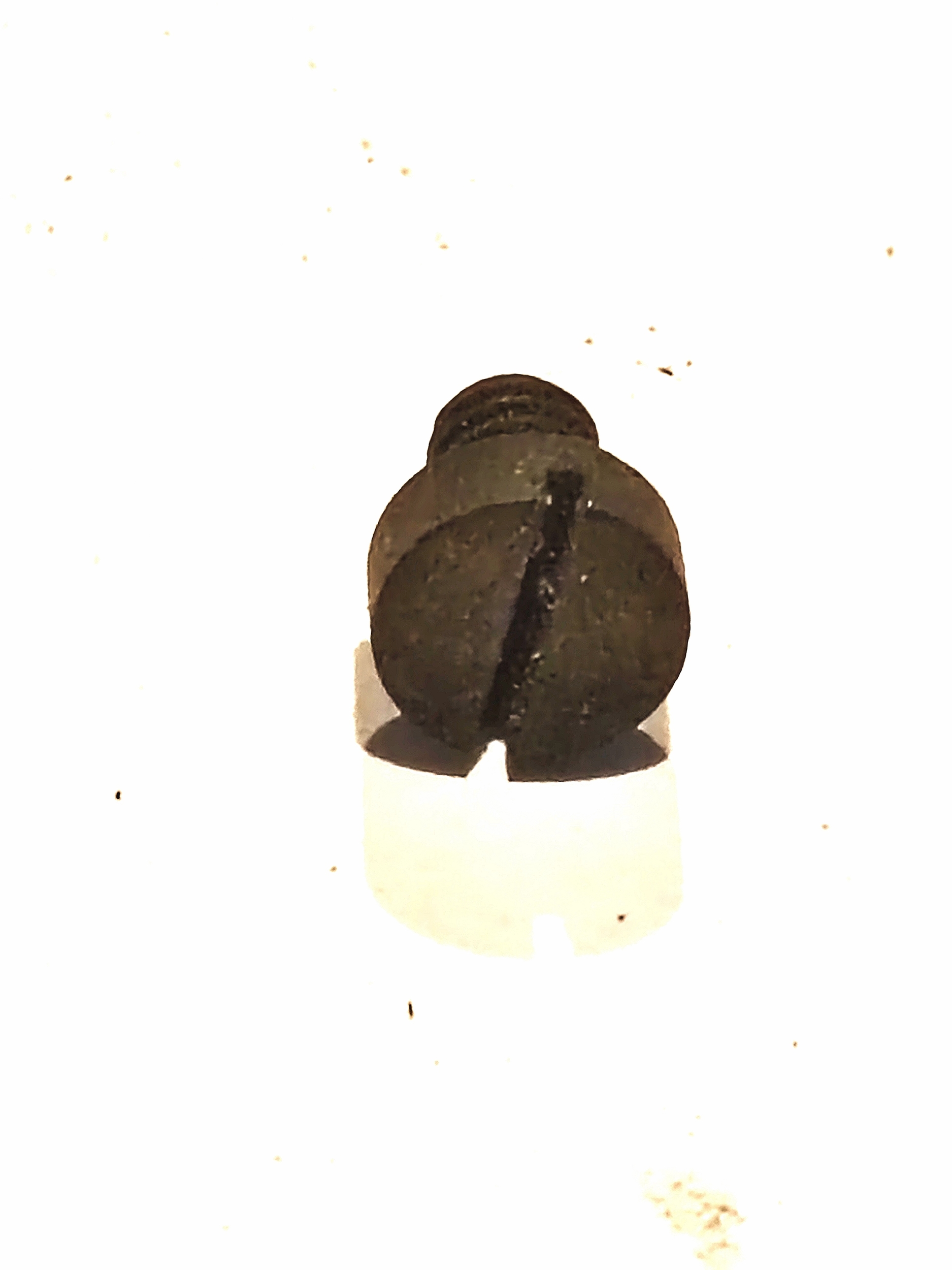 Vis de fixation de Berceau de Carabine MAS45 22Lr
