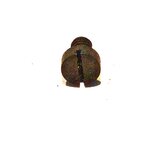 IMG_20250127_171421_edit_218867638382602