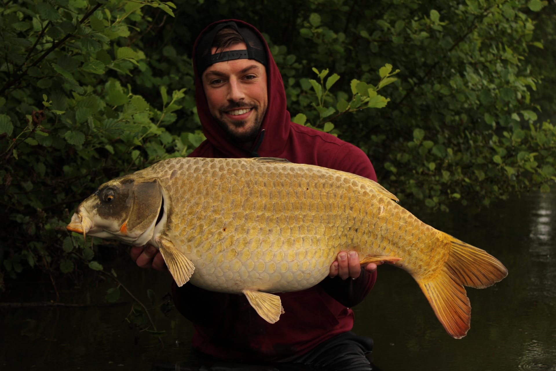 Hypnotic Baits Squid Liver 2