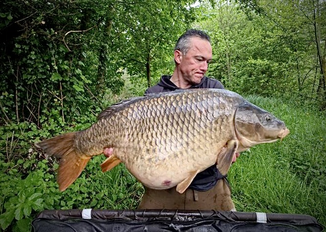 Hypnotic Baits SQUID LIVER 1