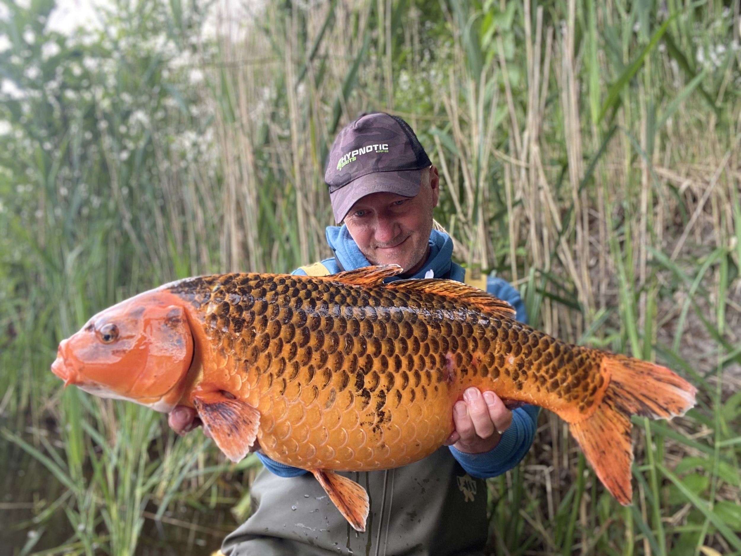 Hypnotic Baits SQUID LIVER 6