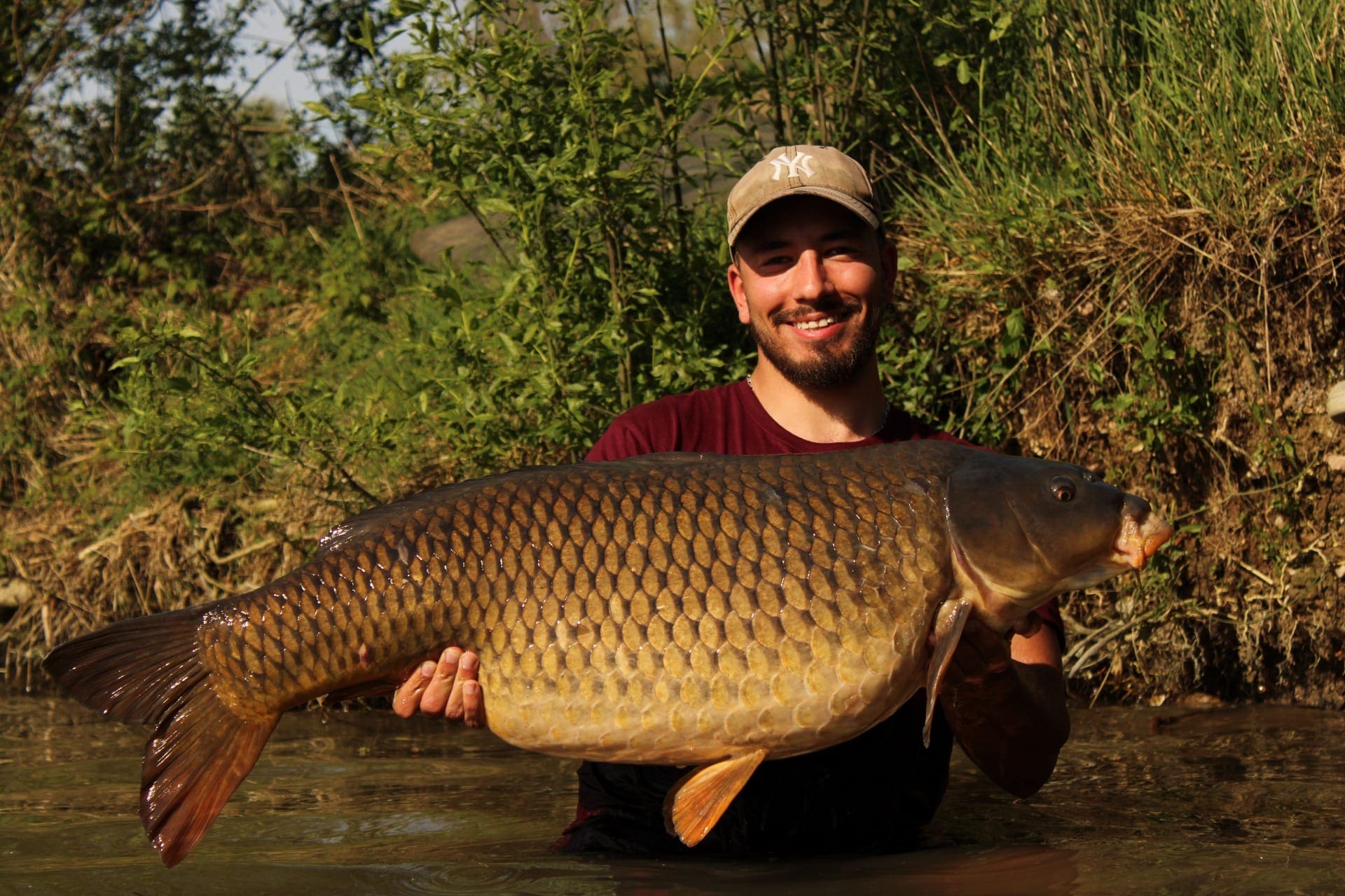 Hypnotic Baits SCO-CO 2