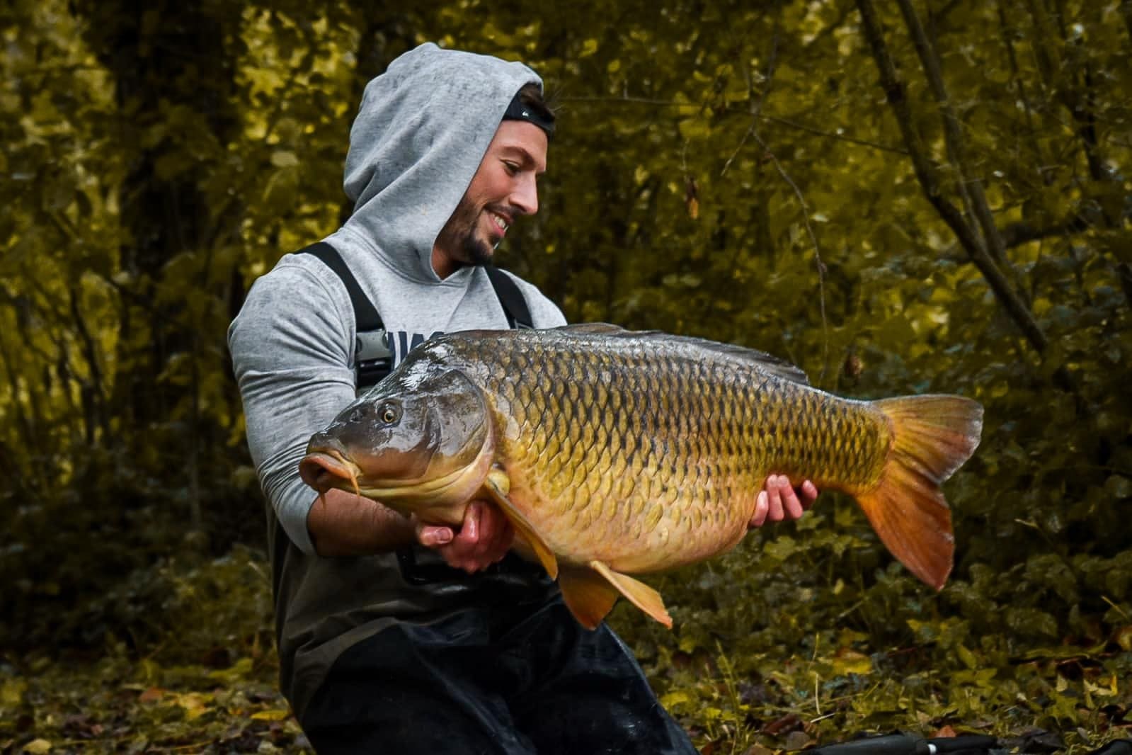 Hypnotic Baits ECREVISSE KRILL 3