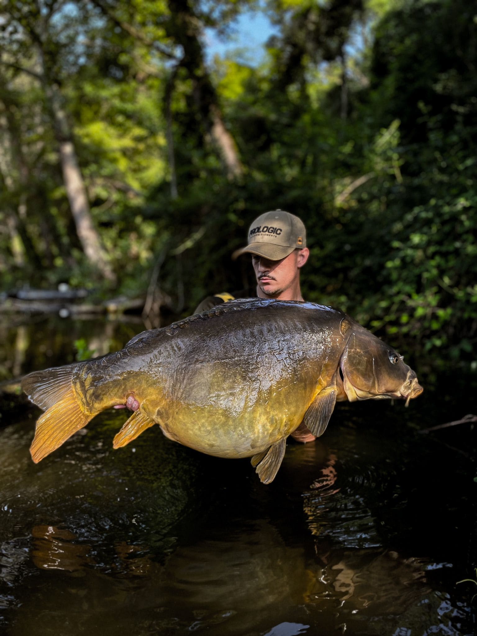 Hypnotic Baits ECREVISSE KRILL 2