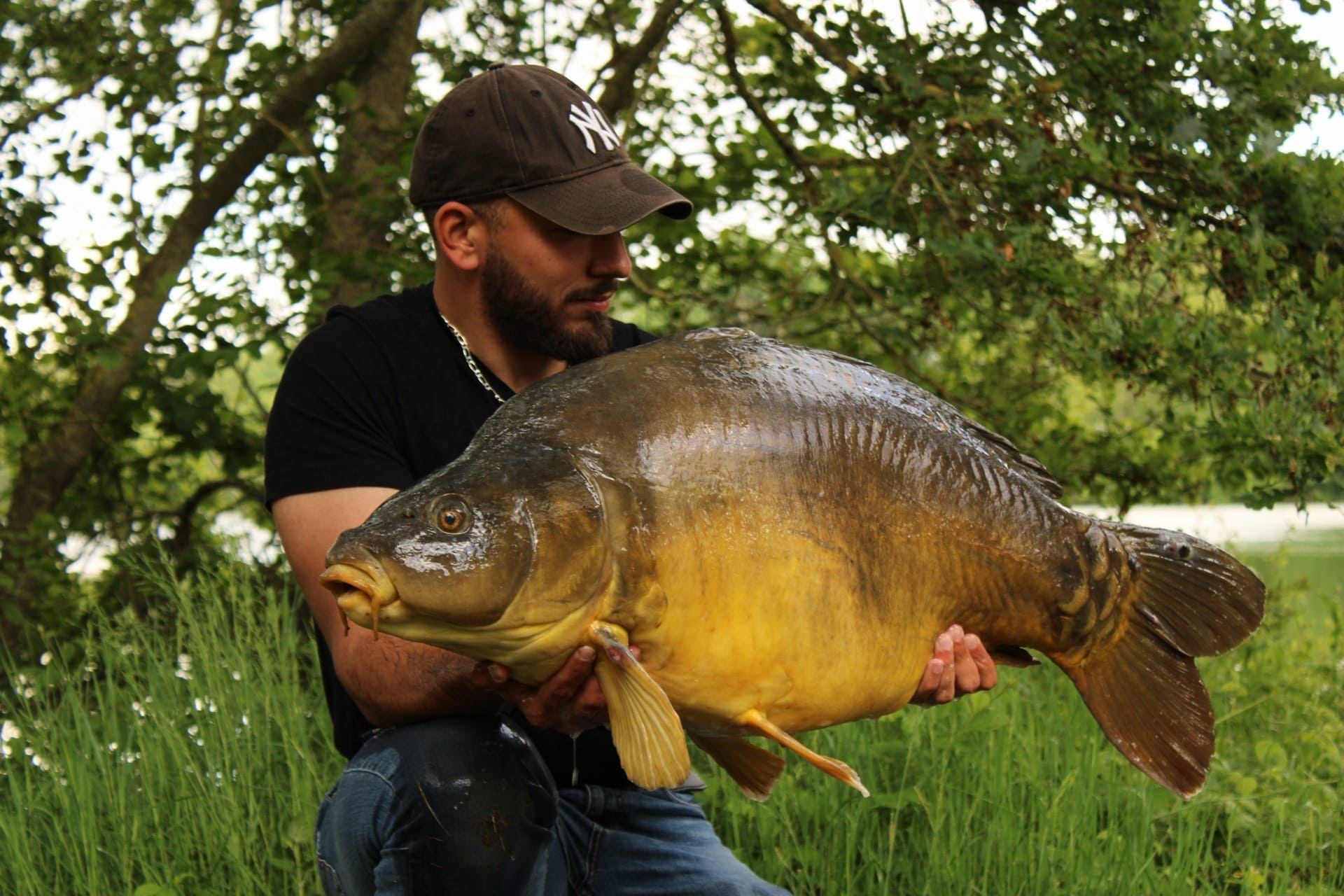 Hypnotic Baits Bomba Spices 1