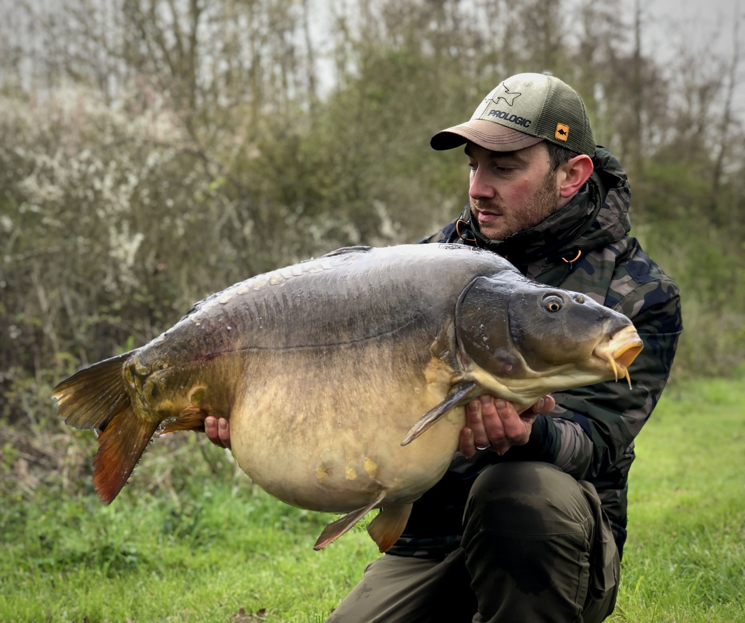 Hypnotic Baits ANANAS 1