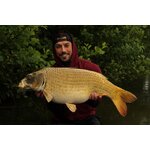 Hypnotic Baits Squid Liver 2