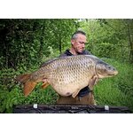 Hypnotic Baits SQUID LIVER 1