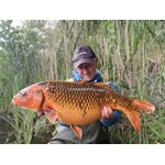 Hypnotic Baits SQUID LIVER 6
