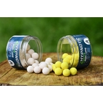 Hypnotic Baits pop up SCO-CO copie