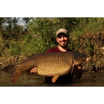 Hypnotic Baits SCO-CO 2
