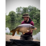 Hypnotic Baits SCO-CO 1