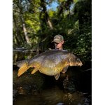 Hypnotic Baits ECREVISSE KRILL 2