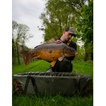 Hypnotic Baits Bomba Spices 2