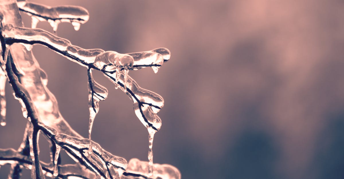 Comment bien isoler sa maison pendant l’hiver : le rôle clé de la fenêtre PVC