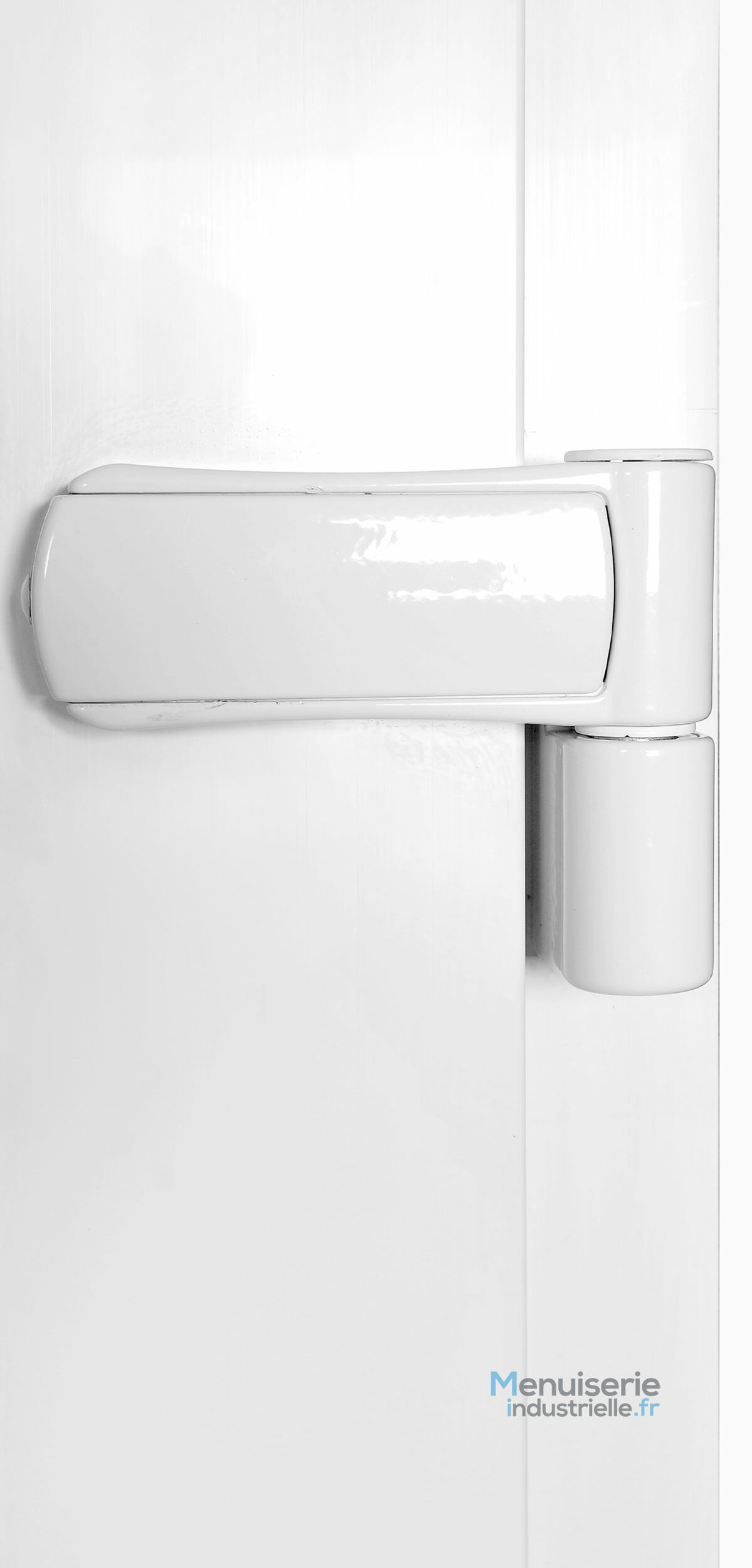 paumelle-lourde-de-porte-de-service-pvc-205-x-120-pleine