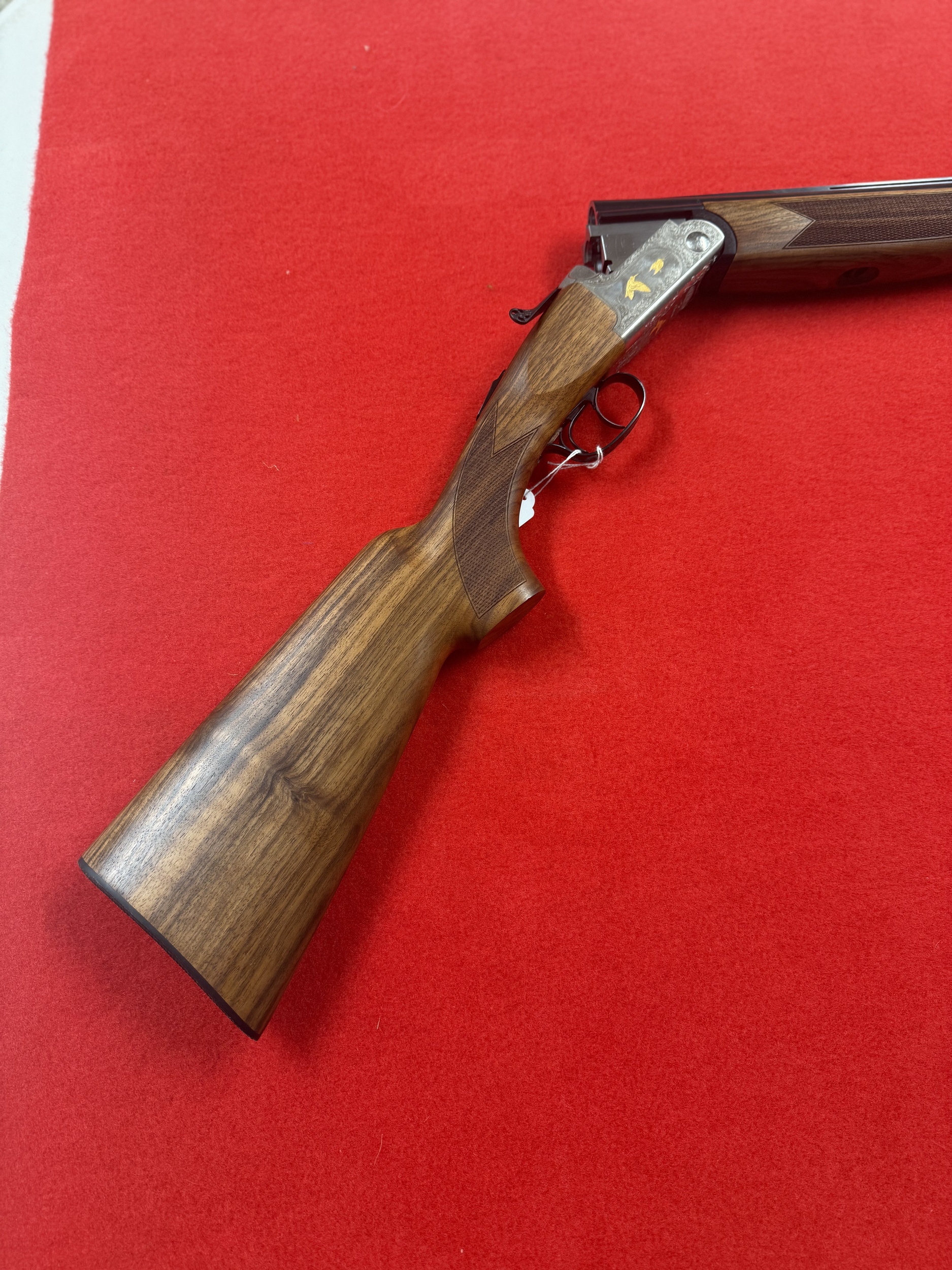 IMG_5989