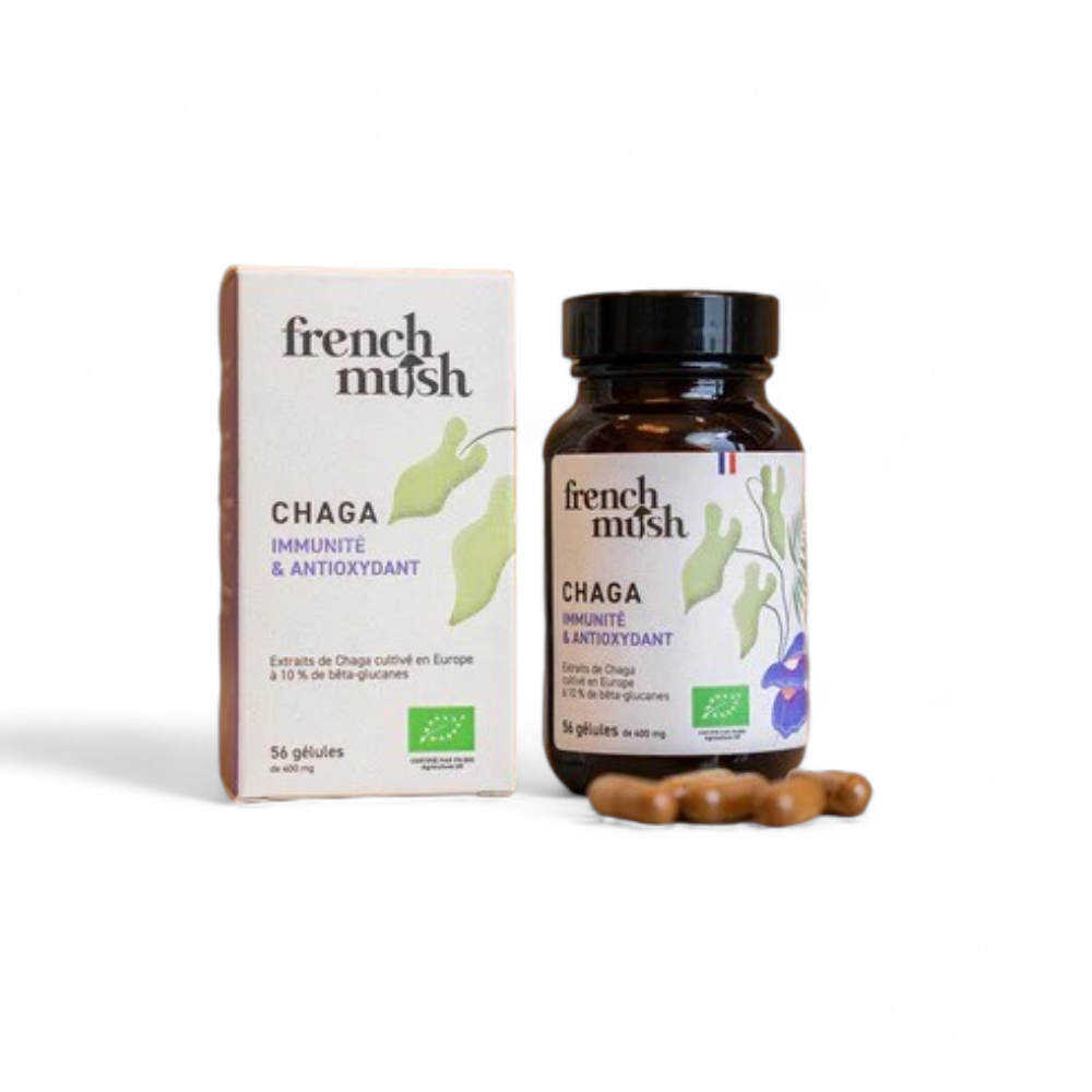 CHAGA en gélules