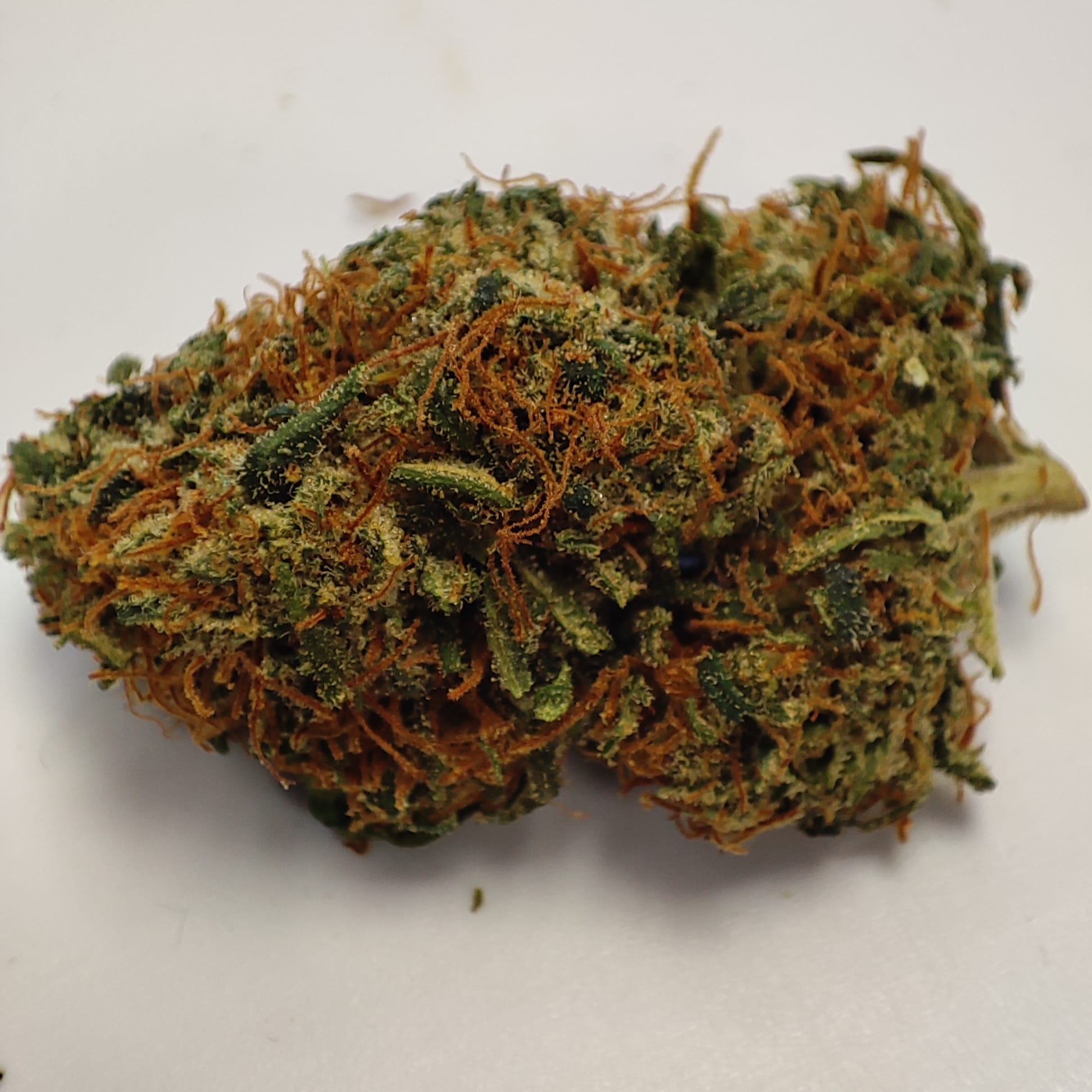 TROPICAL FRUIT 3