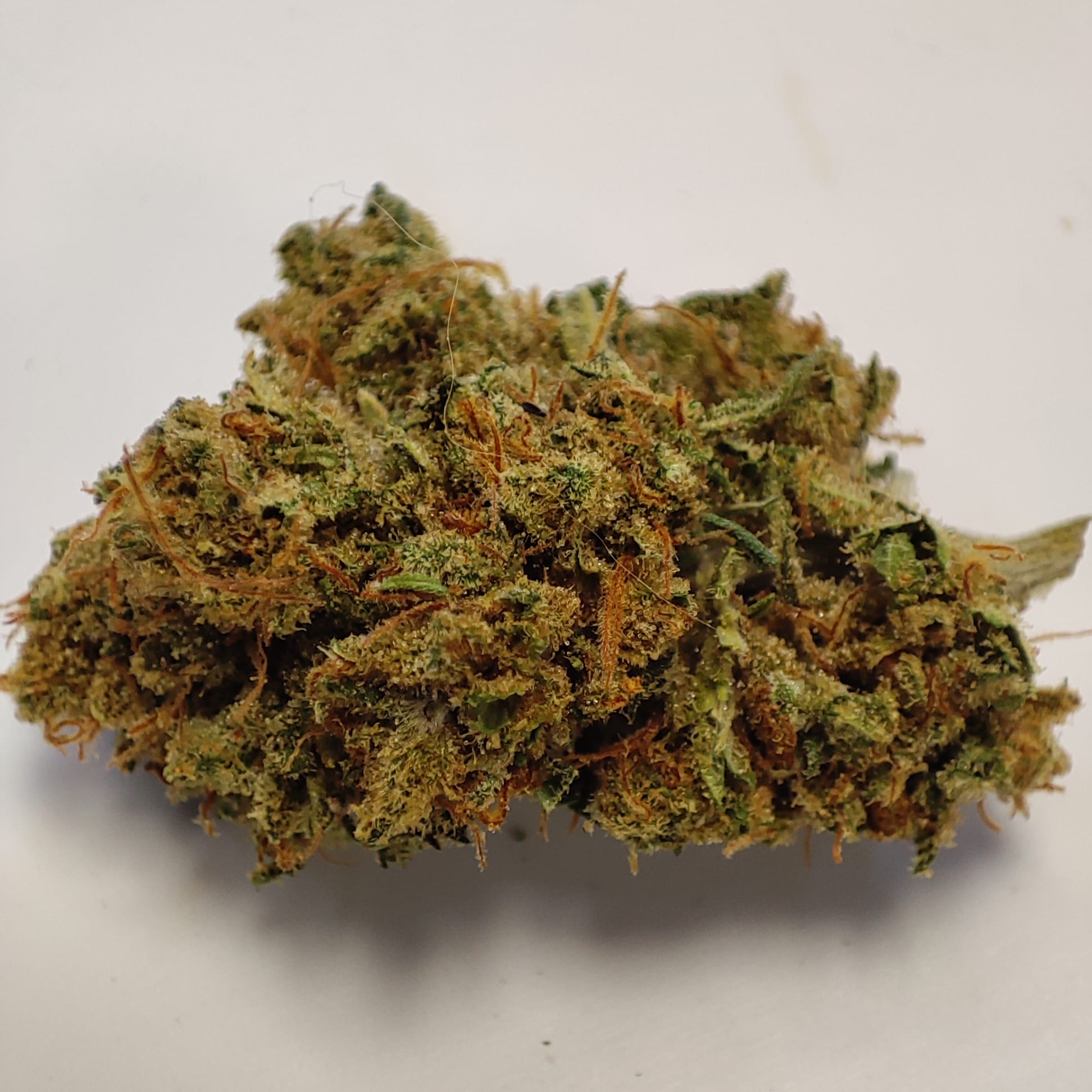 LA PINEAPPLE HAZE Happy Pousse