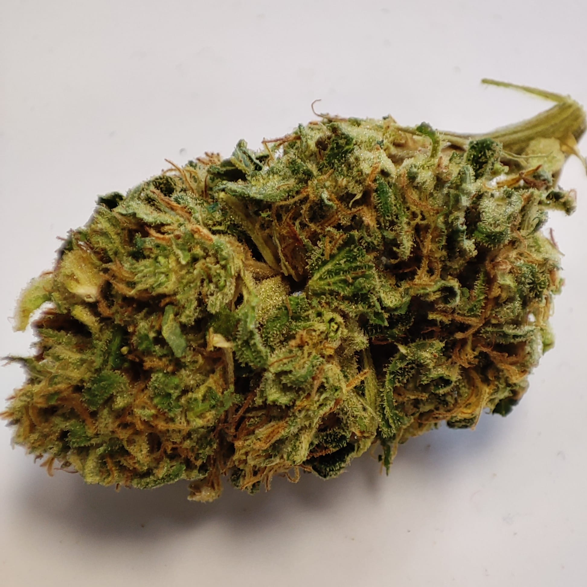 LA CARRIBEAN MIST