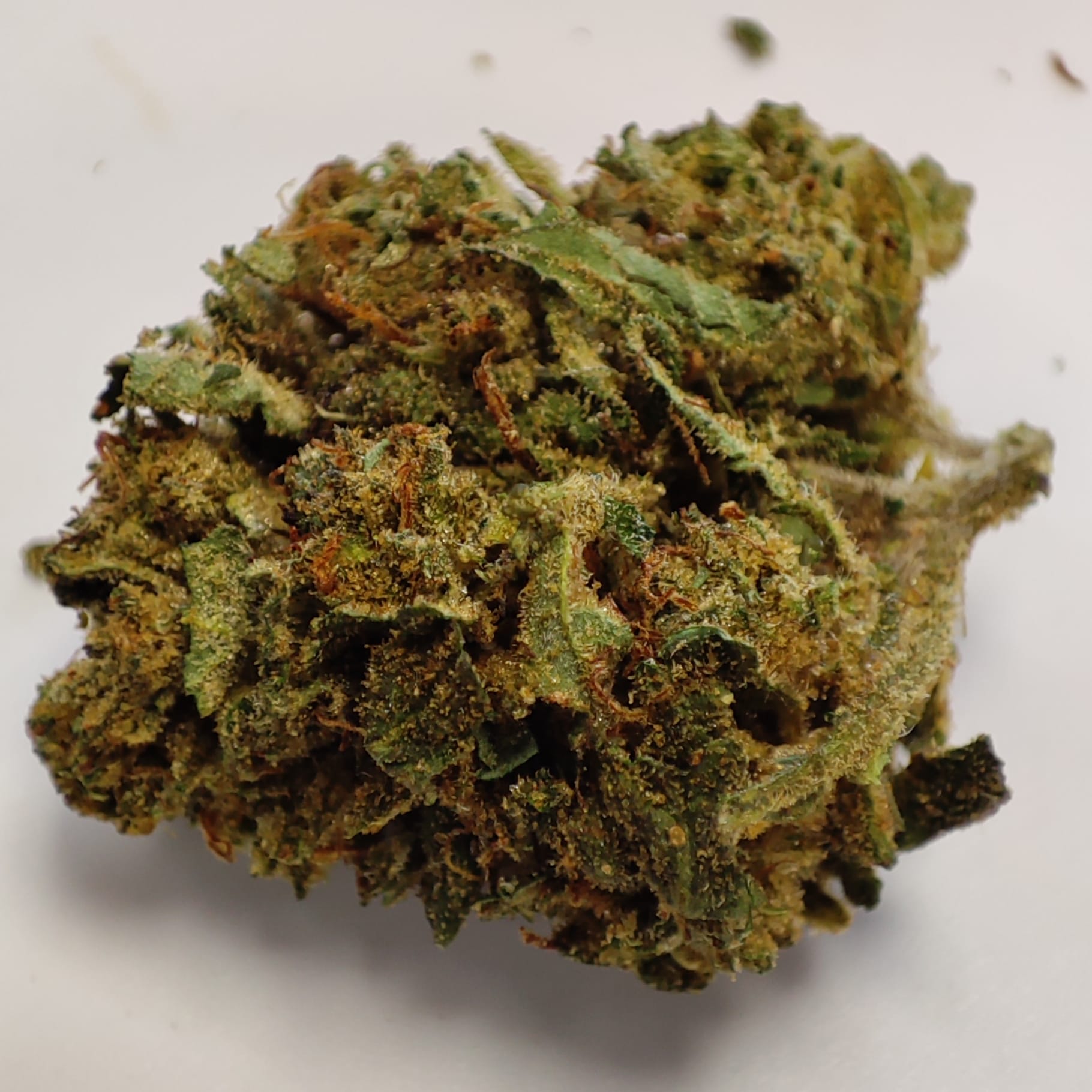 BOMBE CYCL 2