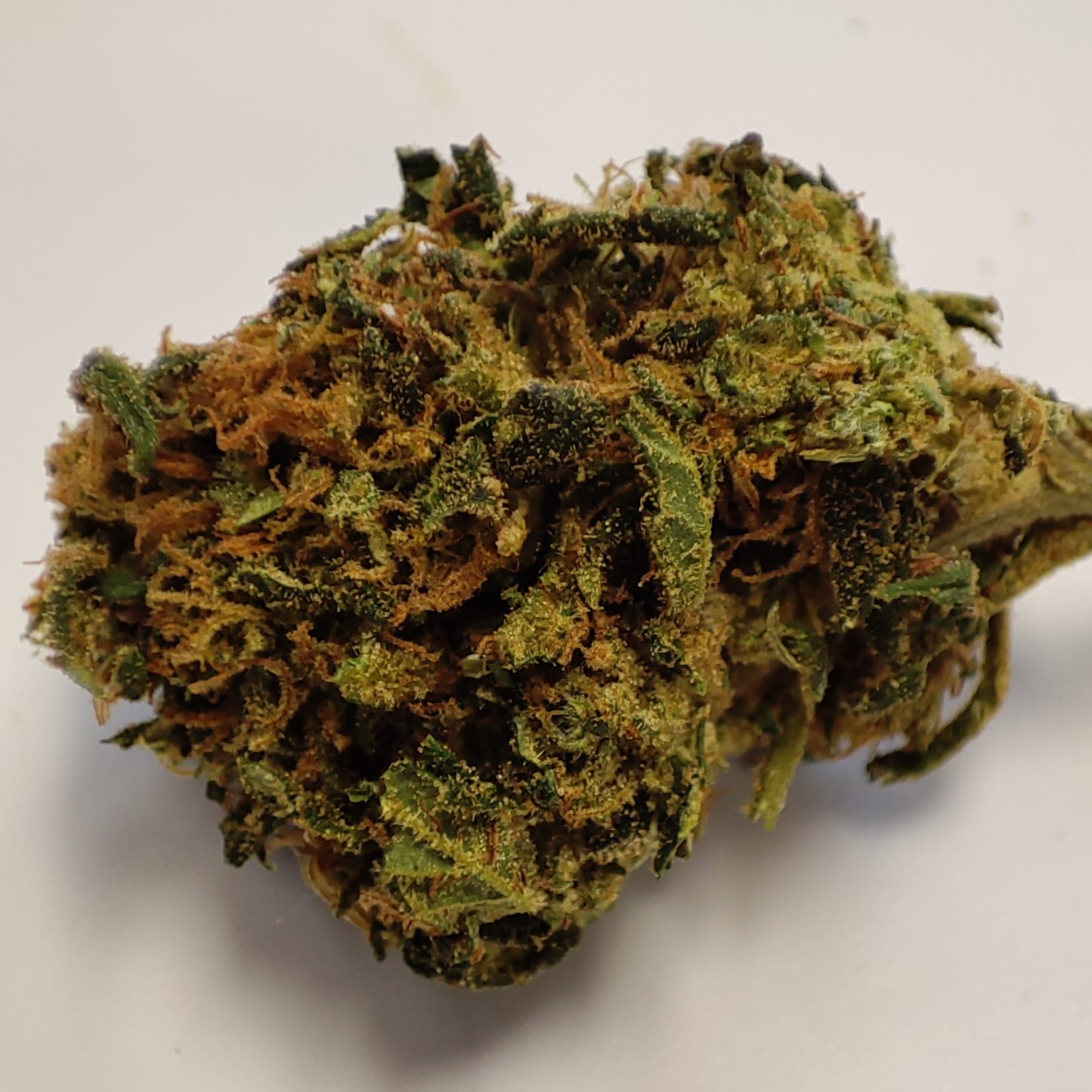 KALI MIST 2