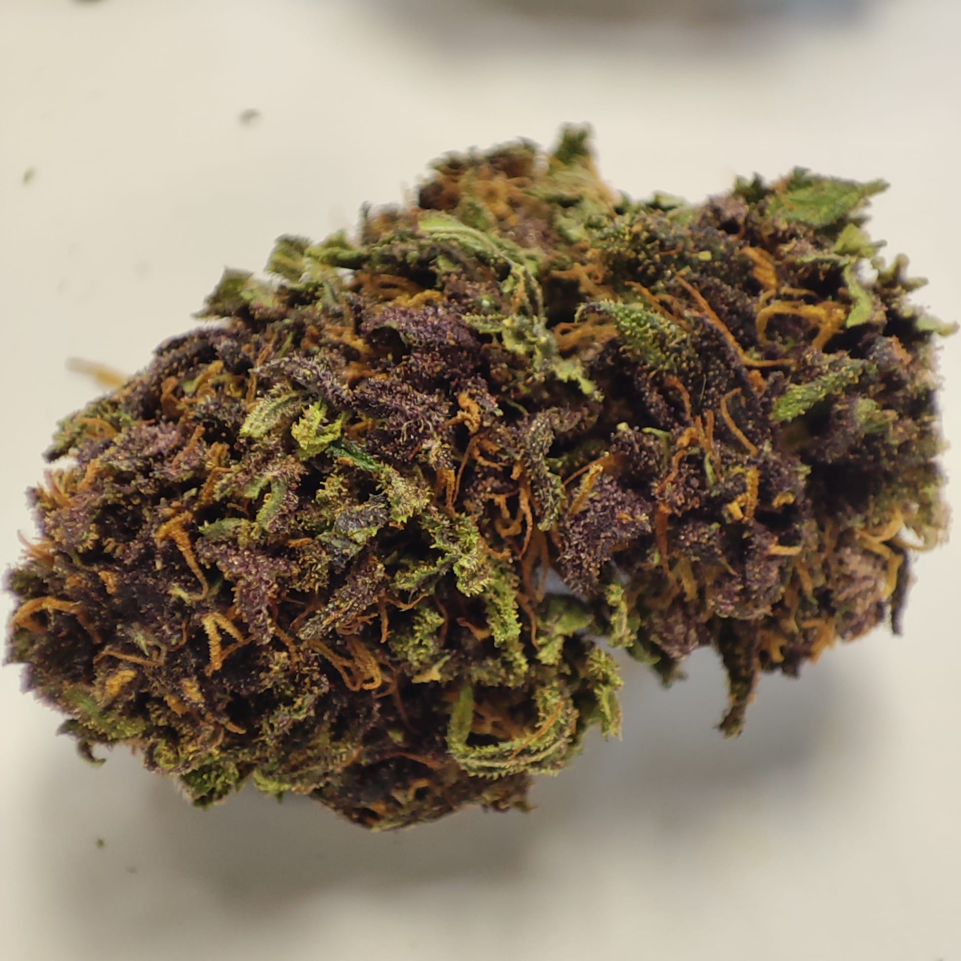 LA BLUE MERINGUE